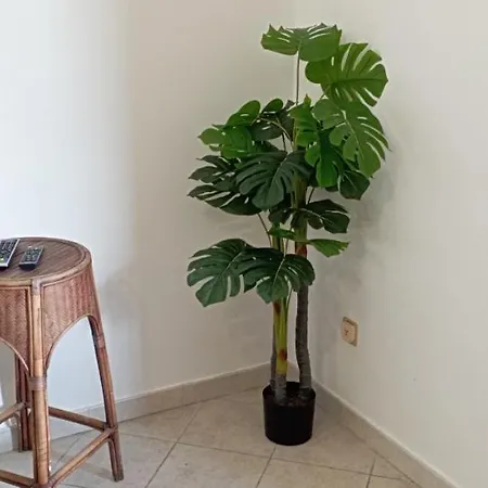 Diana Appartamento Città di Lipari